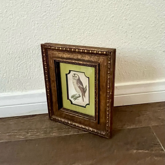 Vintage Gold Framed Owl Art for Bird Lovers - Picture 7 of 10